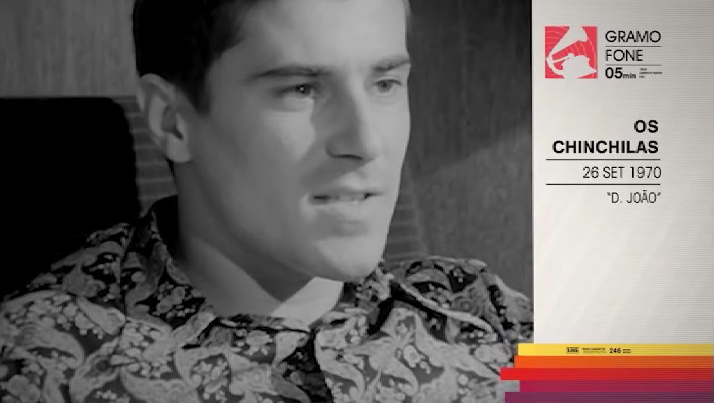 OS CHINCHILAS por Jo�o Carlos Callixto