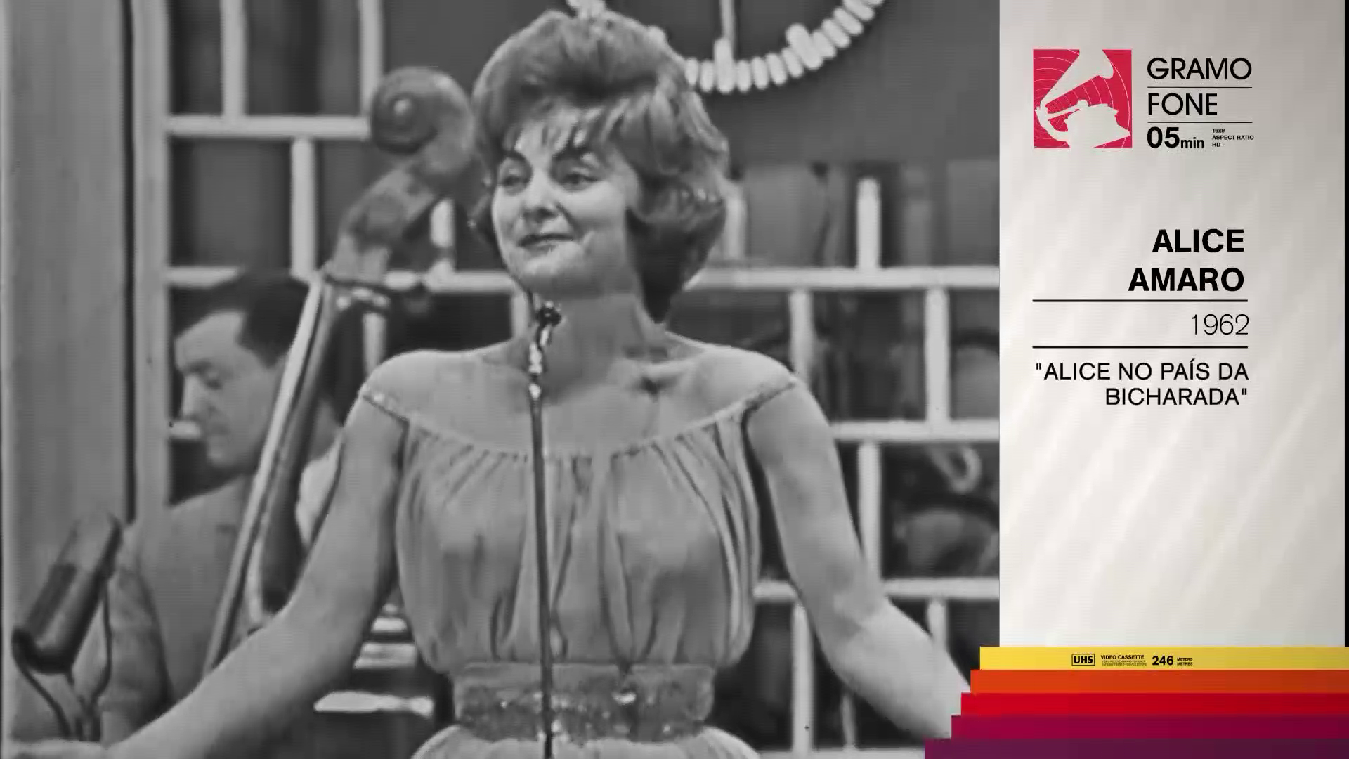 ALICE AMARO por Jo�o Carlos Callixto