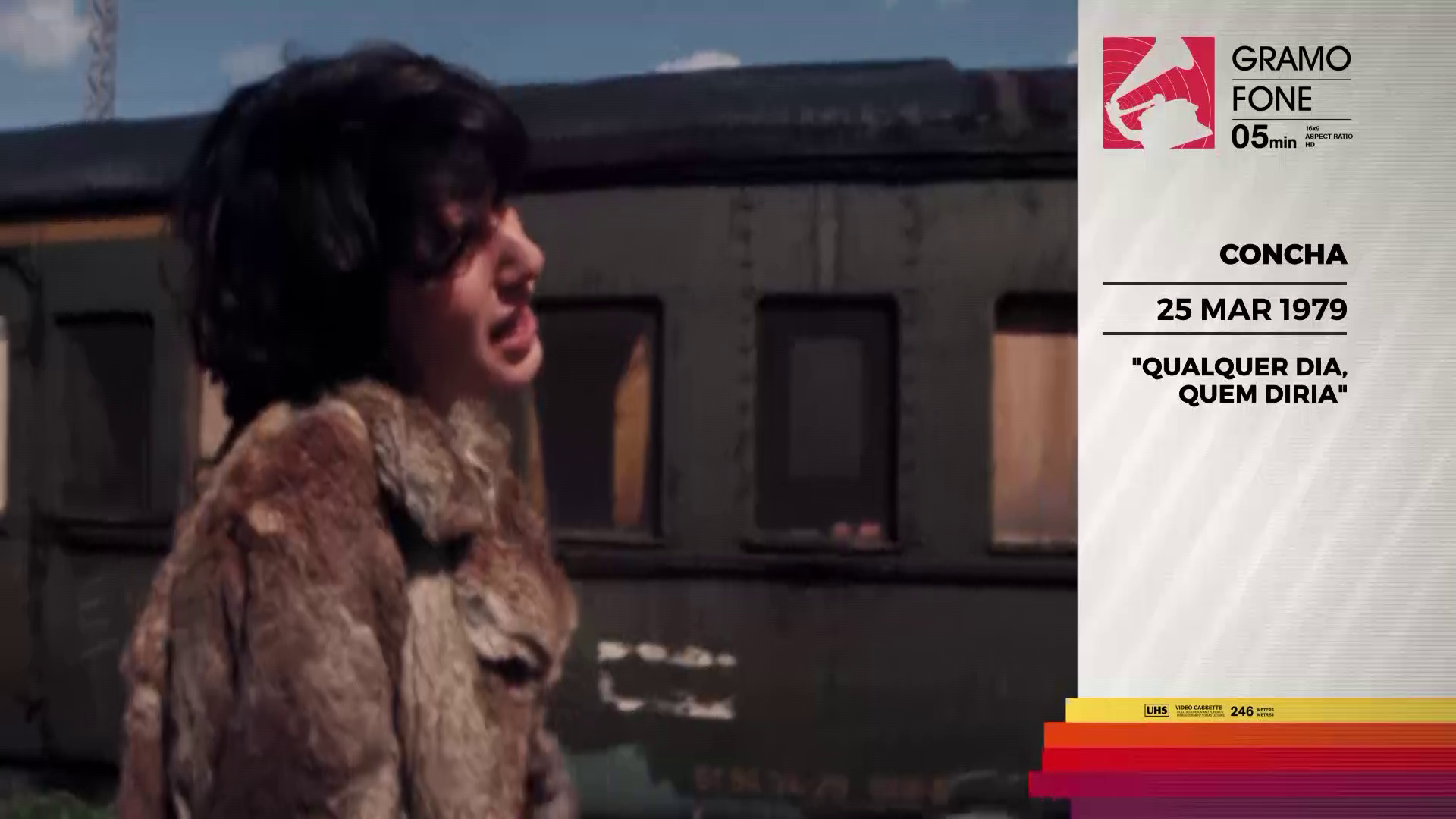 CONCHA por Jo�o Carlos Callixto