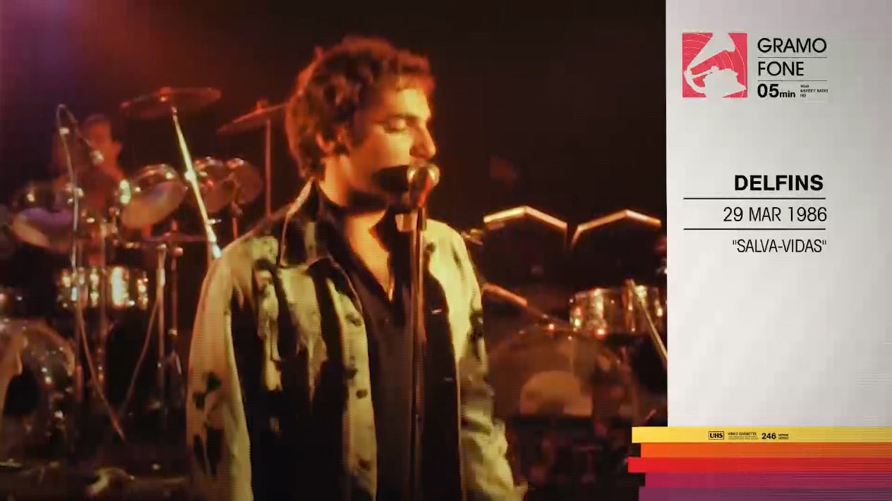 DELFINS por Jo�o Carlos Callixto