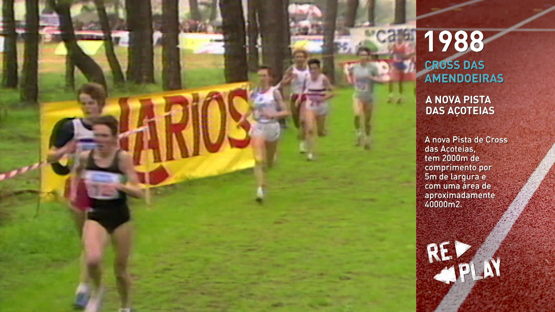 A NOVA PISTA DAS A�OTEIAS, por Rui Alves