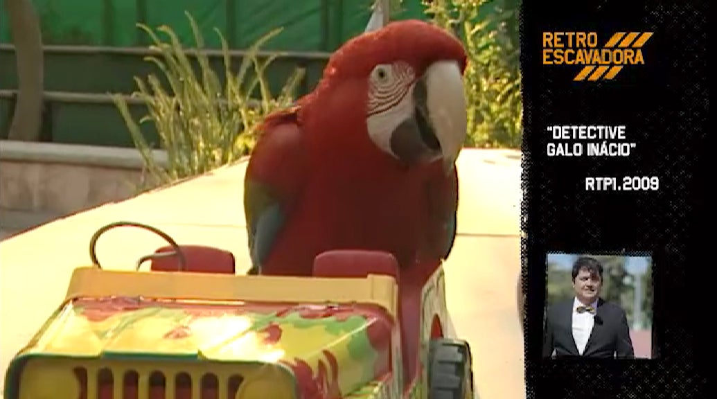Detective Galo In�cio