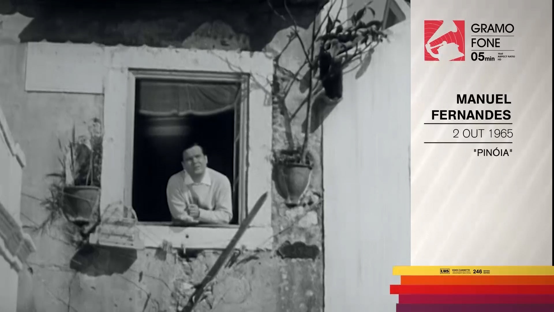 MANUEL FERNANDES por Jo�o Carlos Callixto