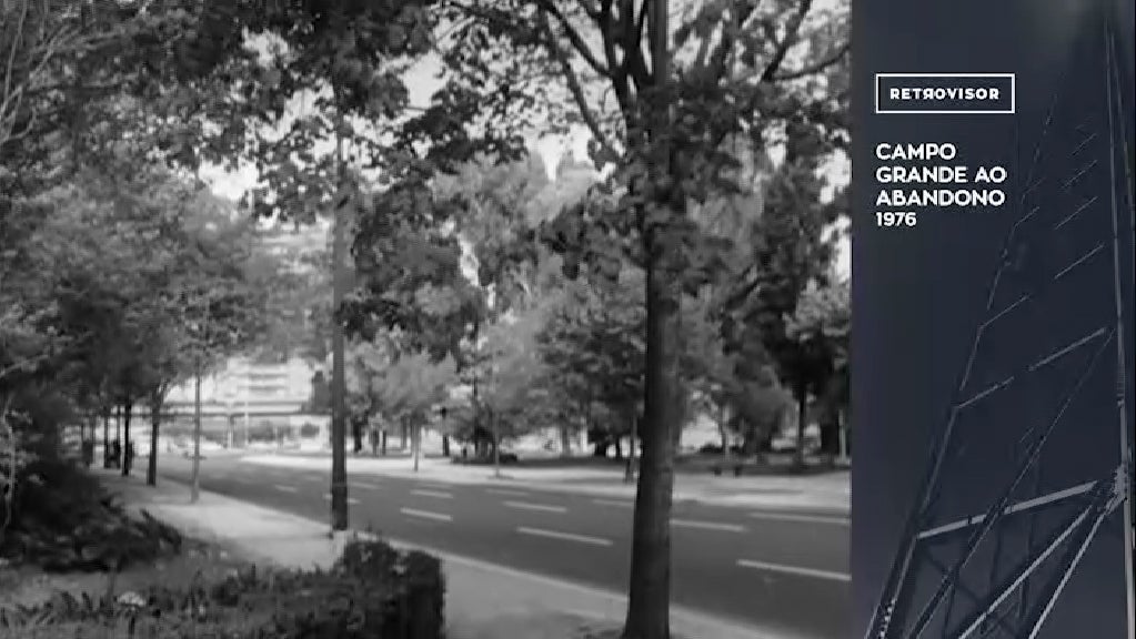 Campo Grande ao Abandono