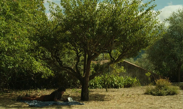 A presença portuguesa em Locarno