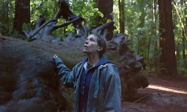 Imagem do filme: “Nomadland – Sobreviver na América” fatura com empurrão dos Óscares
