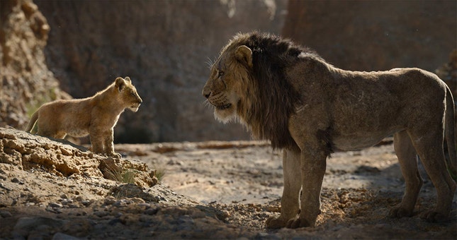 Imagem do filme: Mais de 250 mil já viram “O Rei Leão” em Portugal