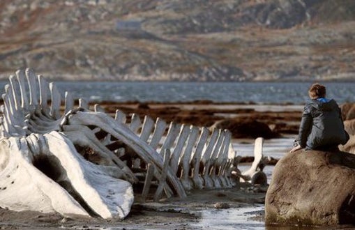O esqueleto de uma baleia na margem do mar de Barents: o gigante marinho que simboliza o Leviatã.