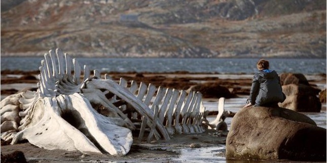 O esqueleto de uma baleia na margem do mar de Barents: o gigante marinho que simboliza o Leviatã.