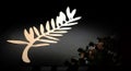 Cannes: e o vencedor ...?