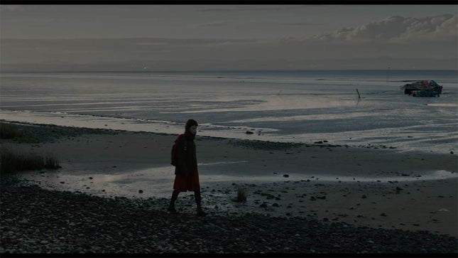 IndieLisboa anuncia filmes de abertura e encerramento da edi��o 2017