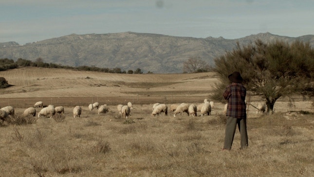 "O Guardador", de Rodrigo Areias: um filme feito com o apoio da Universidade da Beira Interior