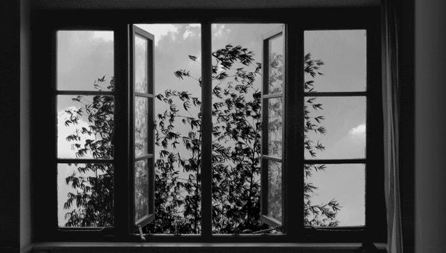"24 Frames": imagens fixas animadas pelos movimentos de Kiarostami