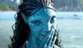 Há maneiras diferentes de uma mulher ser forte, diz realizador de Avatar