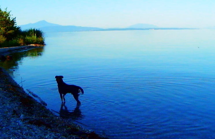 Paisagem da Suíça contemporânea: Roxy filmado por Godard