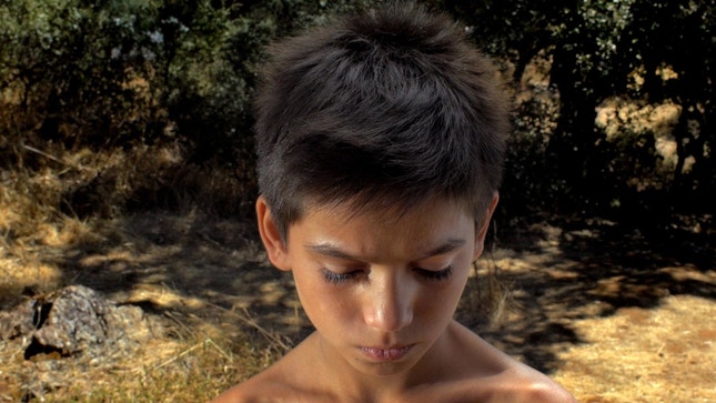 "Farpões Baldios": filme de Marta Mateus consagrado com Grande Prémio