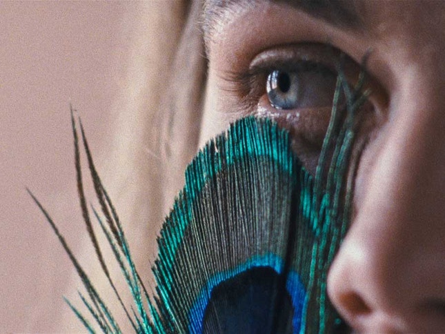 Imagem do filme: “A Metamorfose dos Pássaros” recebe o prémio de Melhor Filme no Festival de Vilnius
