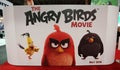Angry Birds: estes pássaros são estrelas de cinema