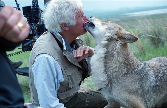 Jean Jacques Annaud e o último lobo: filme estreia na abertura da Festa.