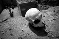 A Cidade dos Mortos, de Srgio Trfaut, estreia em Lisboa e no Porto a 14 de Abril