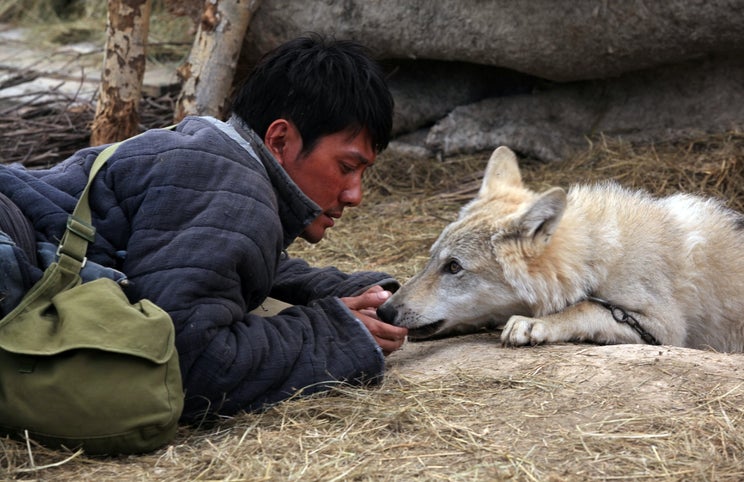 Em cenários da Mongólia: uma aventura cinematográfica com lobos verdadeiros