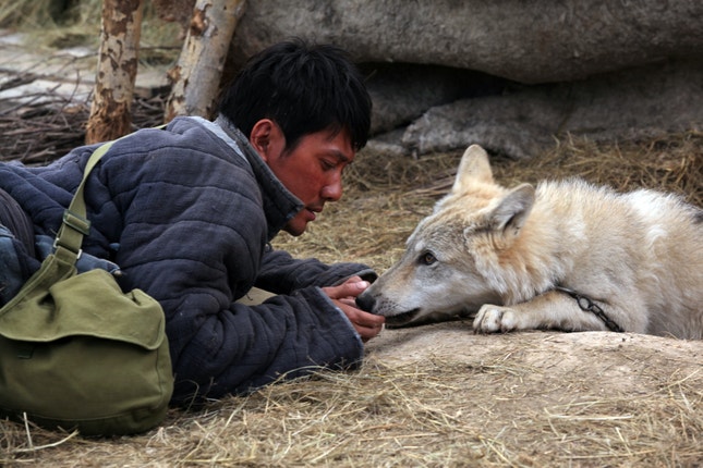 Em cenários da Mongólia: uma aventura cinematográfica com lobos verdadeiros