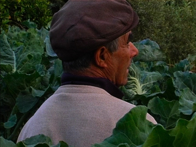 Imagem do filme: “Terra Que Marca” e “Mato Seco em Chamas” reforçam presença portuguesa em Berlim