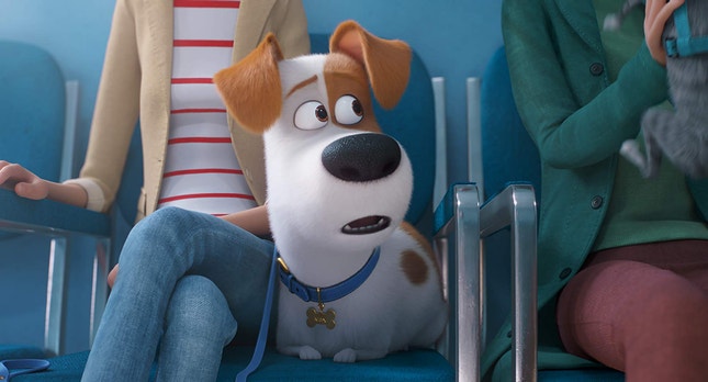 Imagem do filme: Sequela de “A Vida Secreta dos Nossos Bichos” mantém primeiro lugar