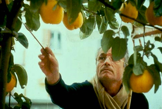 "O Sol do Marmeleiro": Antonio López filmado por Victor Erice