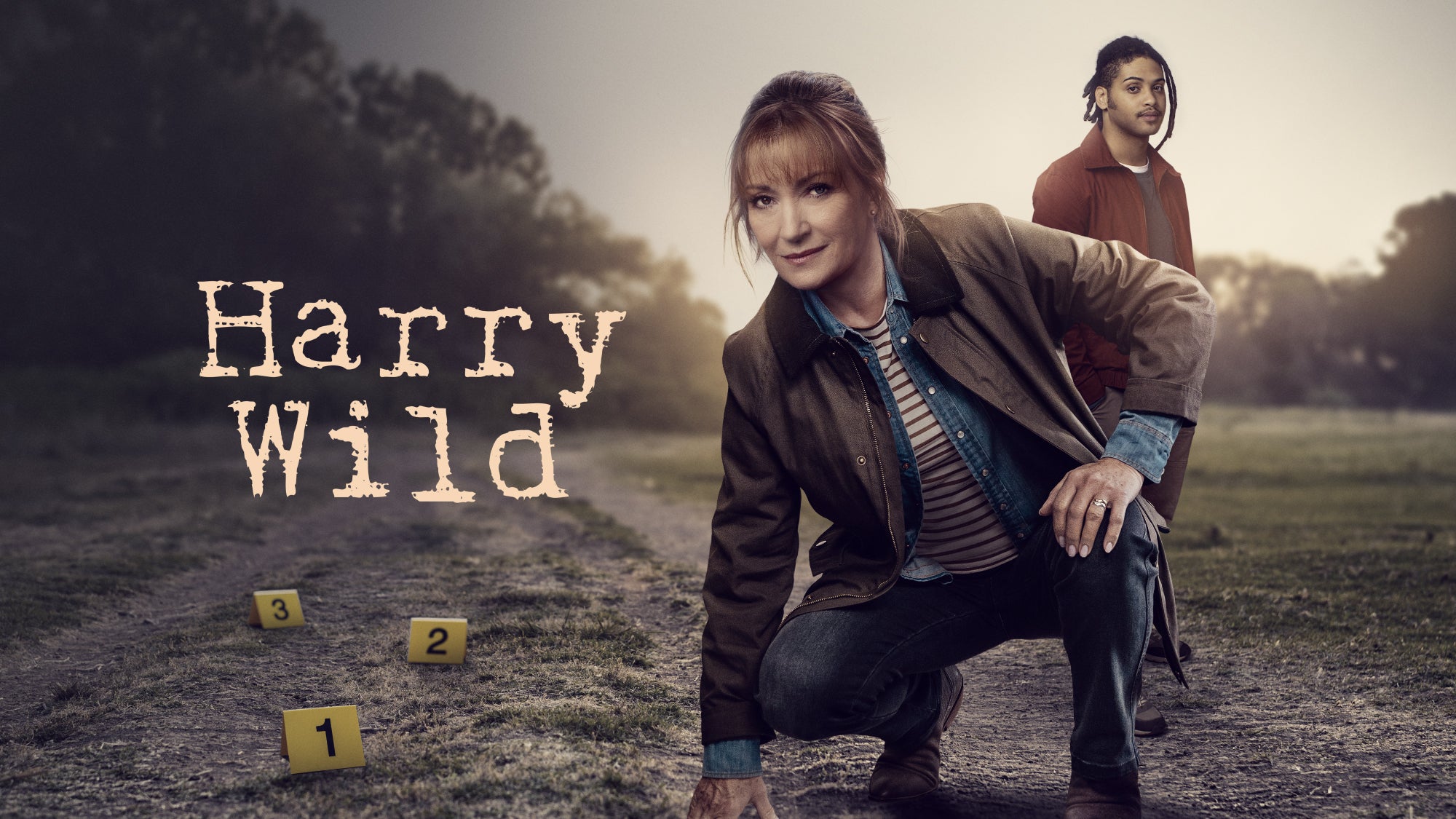 Imagem promo de Harry Wild S4