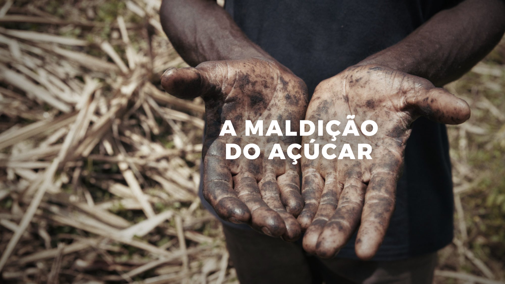 Imagem promo de A Maldição do Açúcar