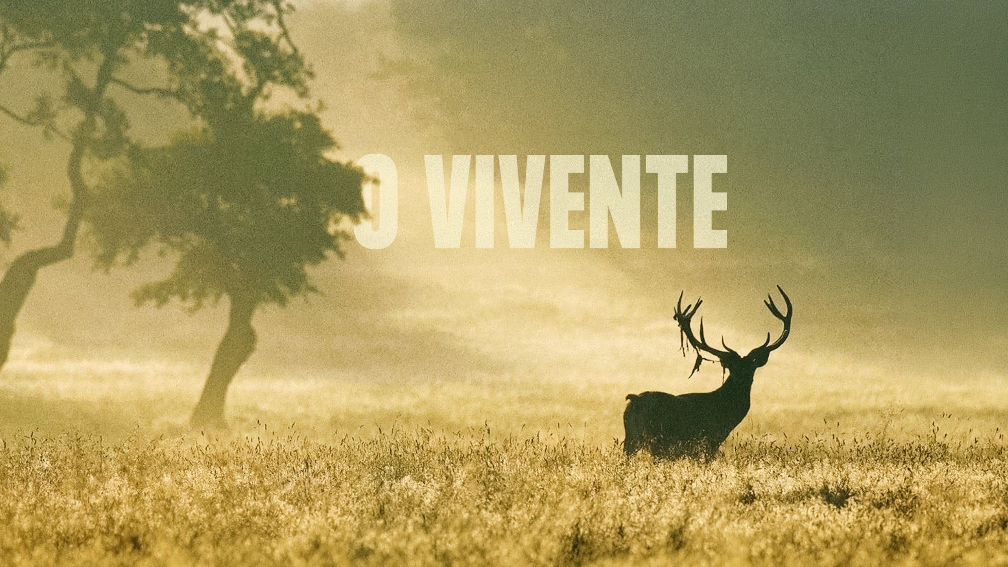 Imagem promo de O Vivente