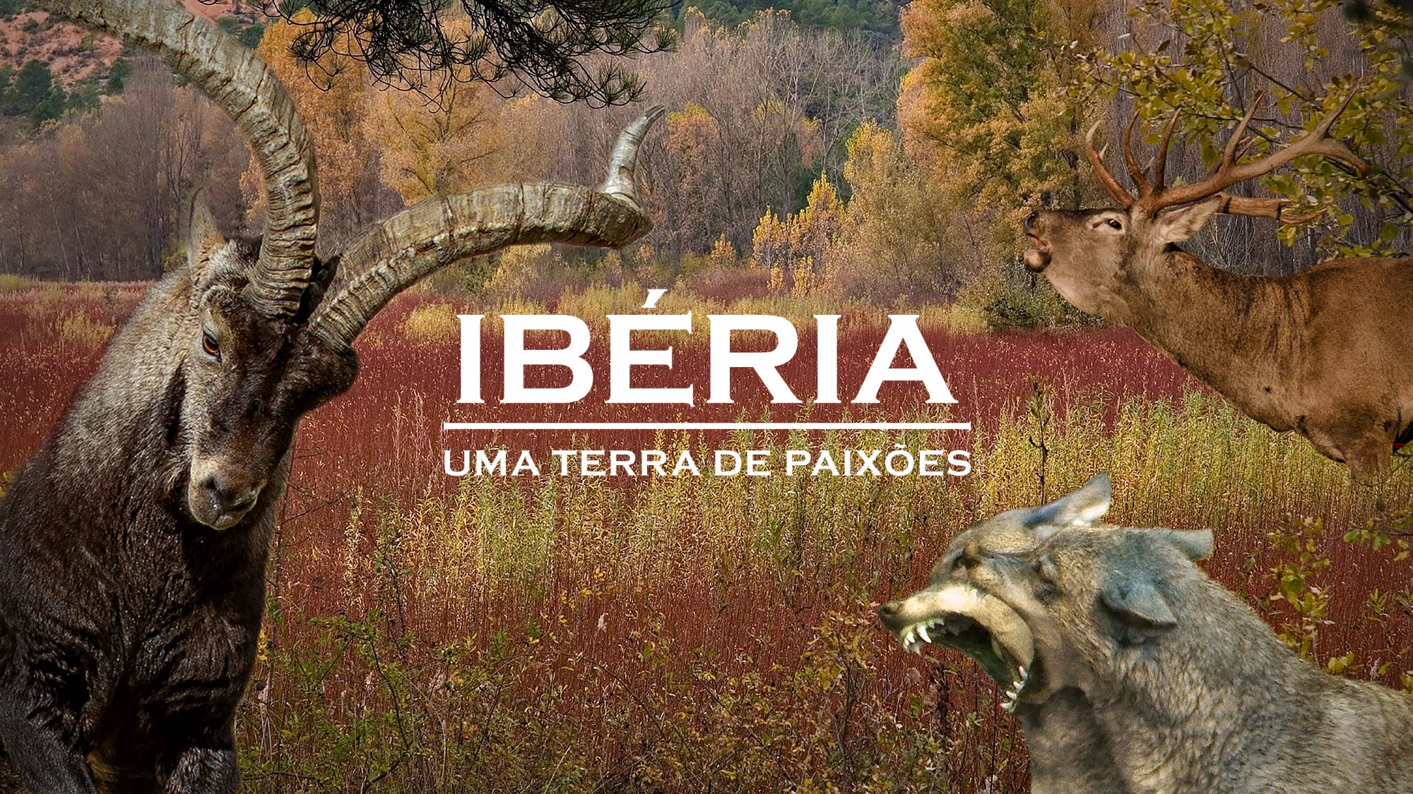 Imagem promo de Ibéria: Uma Terra de Paixões
