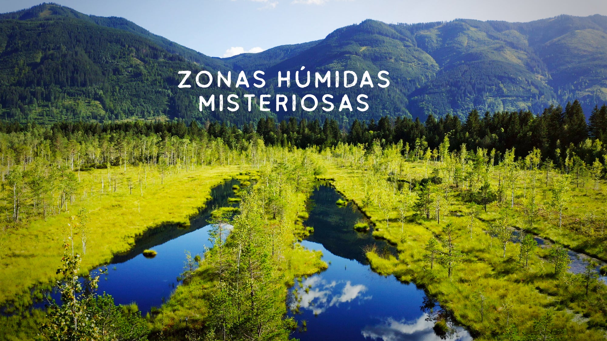 Imagem promo de Zonas Húmidas Misteriosas