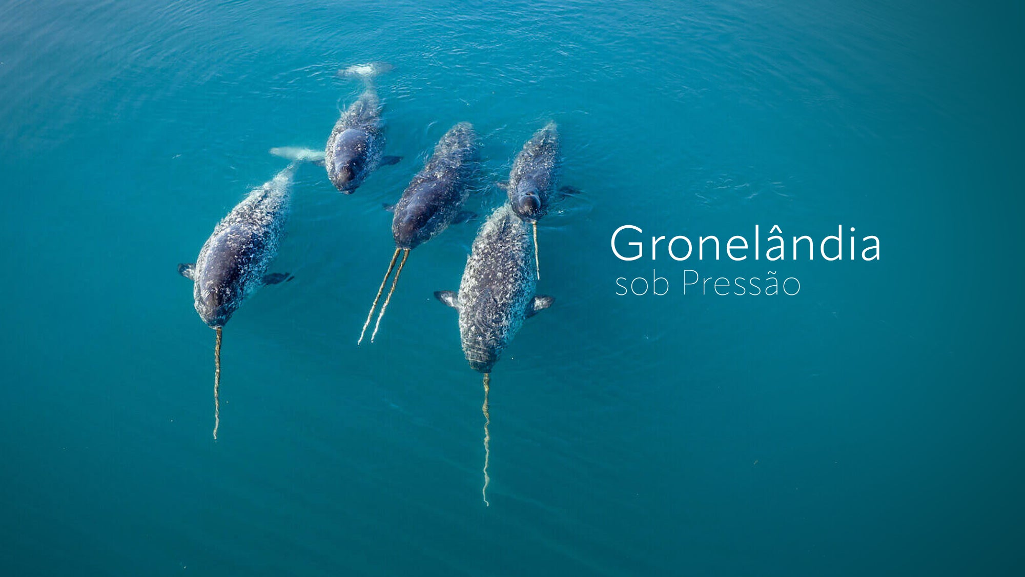 Imagem promo de Gronelândia sob Pressão