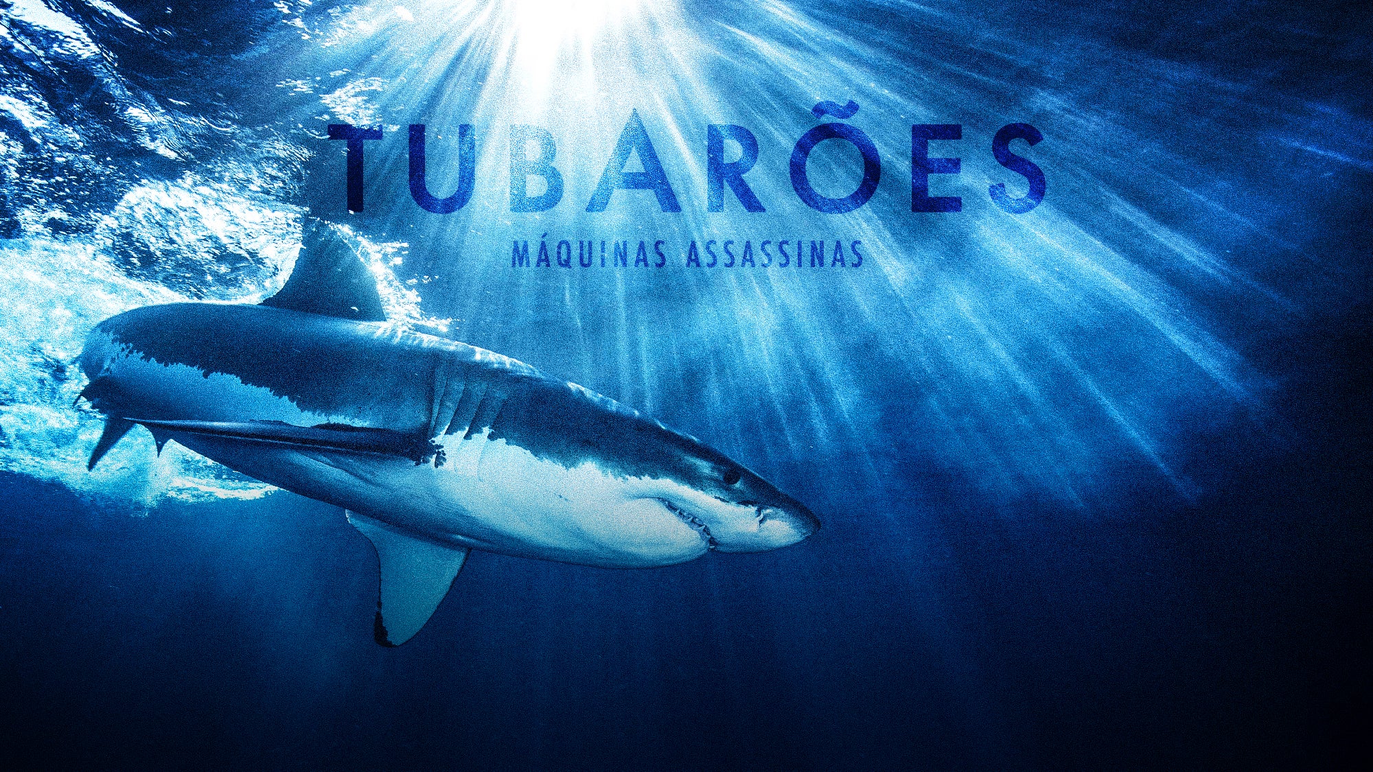 Imagem promo de Tubarões: Máquinas Assassinas