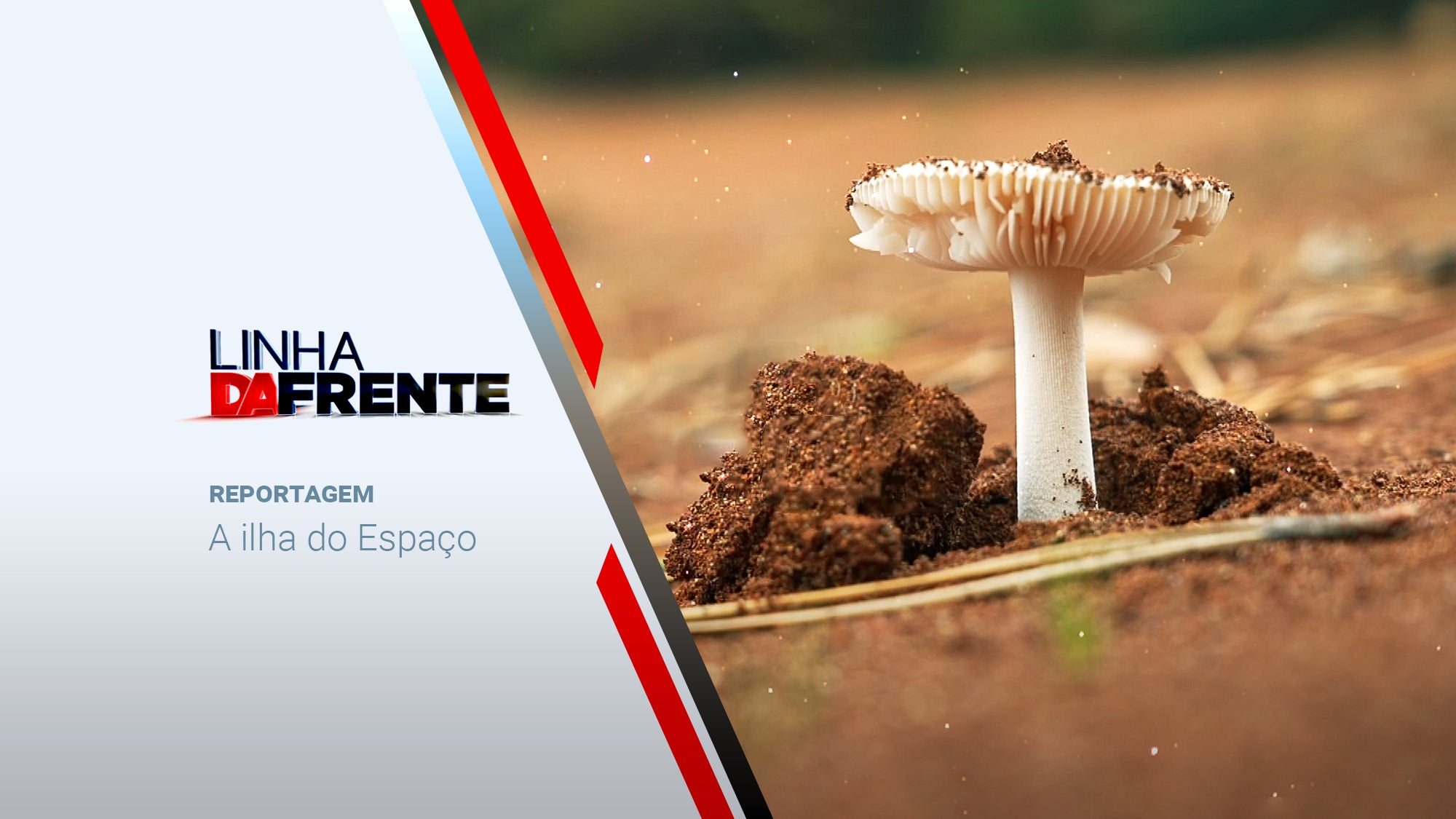 Imagem promo de Linha da Frente - A Ilha do Espaço