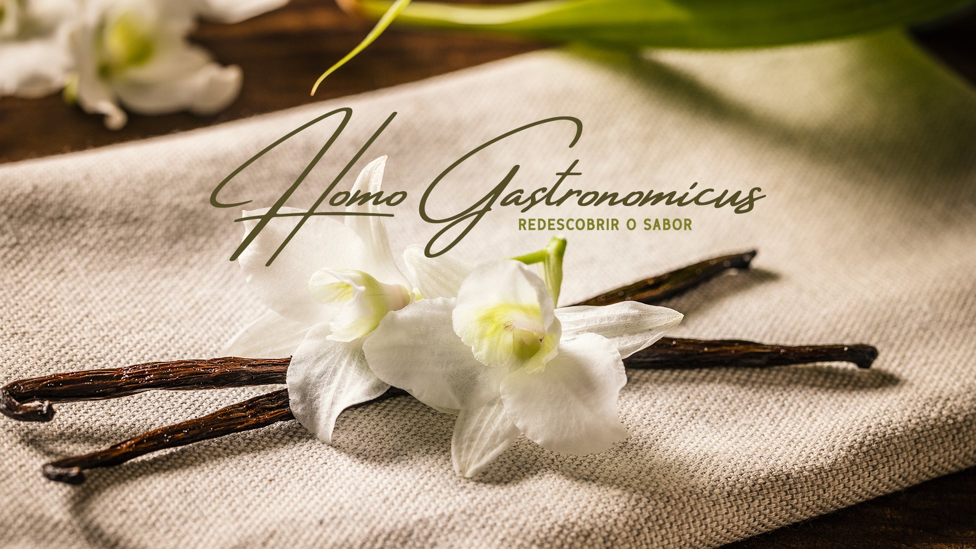 Imagem promo de Homo Gastronomicus - Redescobrir o Sabor