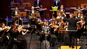 Imagem de Orquestra Filarmónica Portuguesa | 4 Julho | 21h00