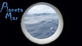Imagem de Planeta Mar | 6ª feira 14h30
