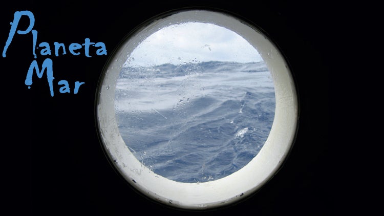 Imagem de Planeta Mar | 6ª feira 14h30