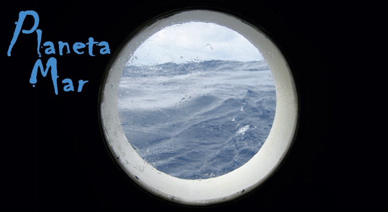 Imagem de Planeta Mar | 6ª feira 14h30