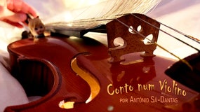 Conto num Violino | 3ª feira | 11h00 | 15h00