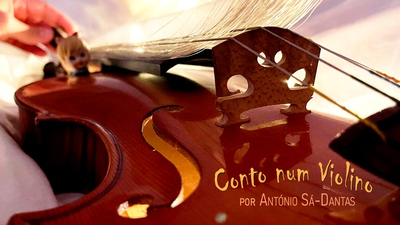 Imagem de Conto num Violino | 3ª feira | 11h00 | 15h00