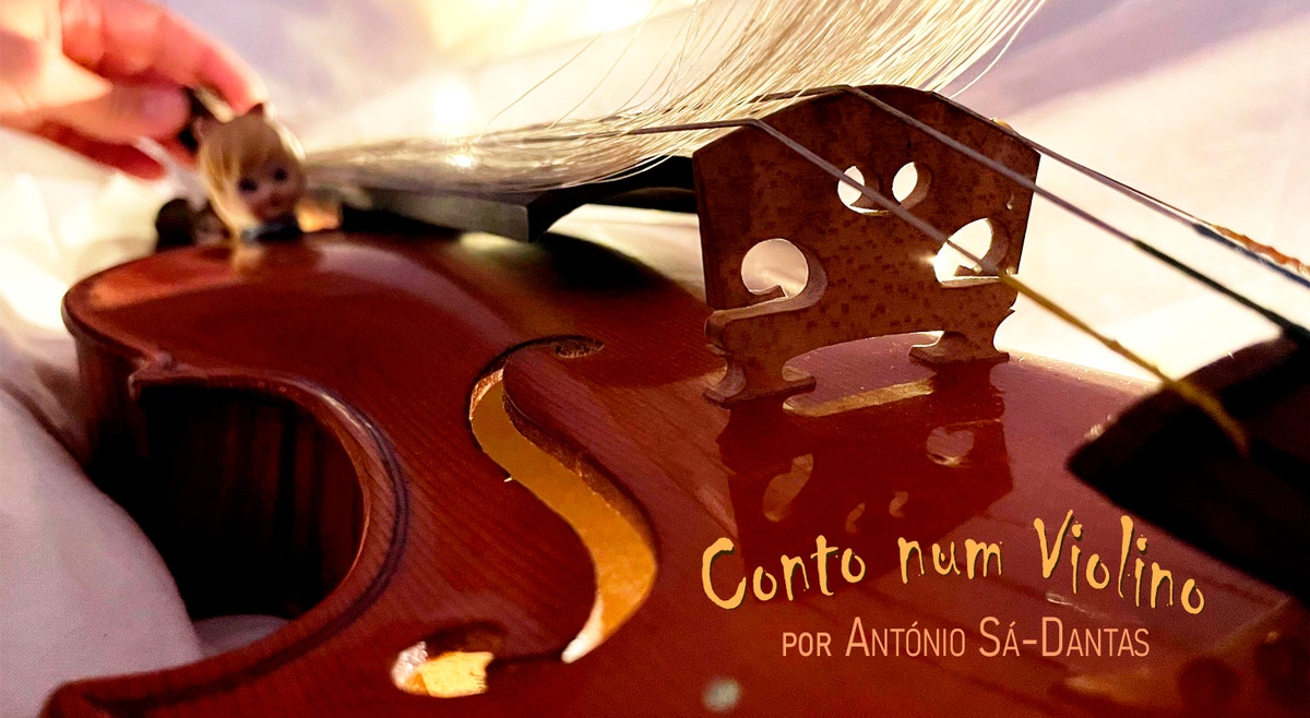 Imagem de Conto num Violino | 3ª feira | 11h00 | 15h00