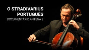 Imagem de O Stradivarius Português