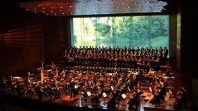 Imagem de J. S. Bach | Paixão segundo São Mateus | 26 Março 20h00