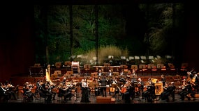 Imagem de Concerto de Ano Novo | Gulbenkian | 4 Janeiro 19h00