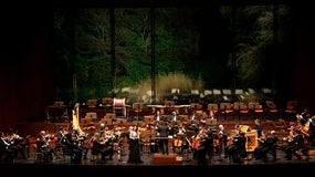 Concerto de Ano Novo | Gulbenkian | 4 Janeiro 19h00