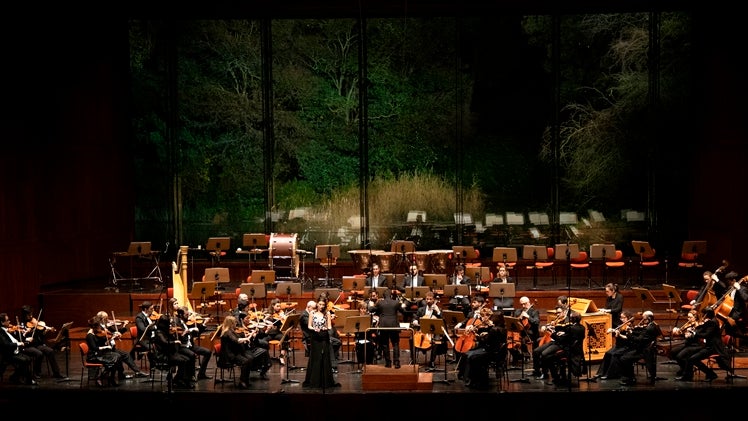 Imagem de Concerto de Ano Novo | Gulbenkian | 4 Janeiro 19h00